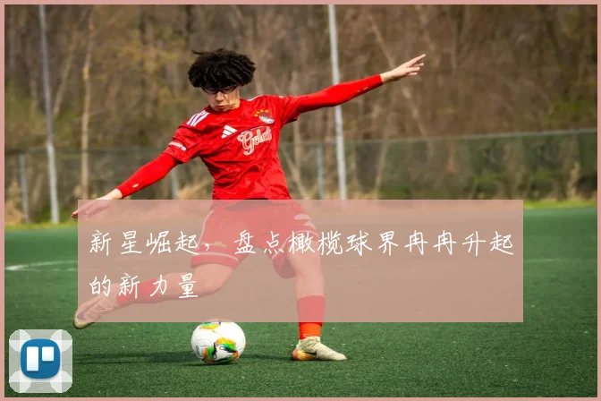 新星崛起，盘点橄榄球界冉冉升起的新力量